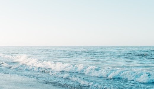 冬に肥料は必要？