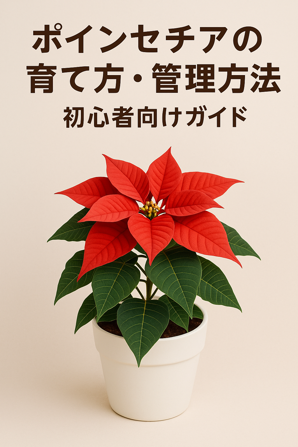 🌺 ポインセチアの育て方を初心者向けに徹底解説