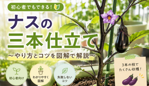 【初心者向け】ナスの育て方完全ガイド｜植え付けから収穫まで失敗しないポイント