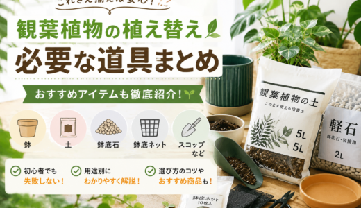 観葉植物の植え替えに必要なもの完全ガイド｜初心者がそろえる鉢・土・鉢底材の選び方