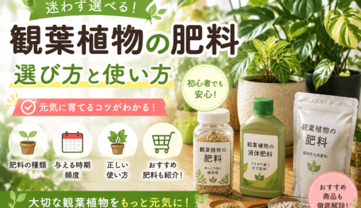 観葉植物の肥料の選び方完全ガイド｜元肥・液体肥料・活力剤の違いと正しい使い方