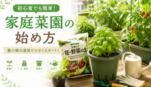 【初心者向け】家庭菜園の始め方｜まず小さく試すスタートセットと買い足しの順番