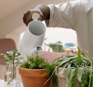 観葉植物の夏の水切れサイン｜葉がしおれる前に気づく3つのチェック