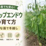 スナップエンドウの育て方